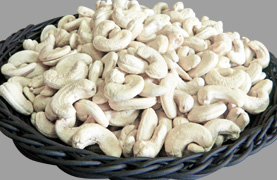 Metro Nuts - Export Quality Cashew Nuts
