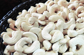 Metro Nuts - Export Quality Cashew Nuts